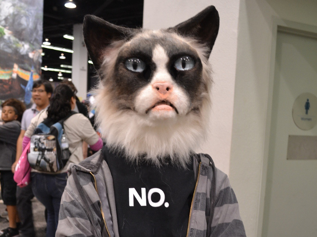grumpy cat halloween costume