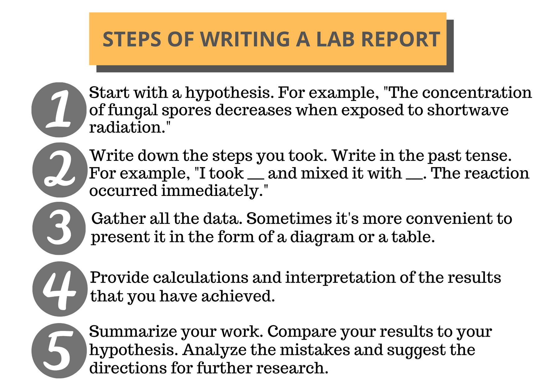 steps to writing a lab report
