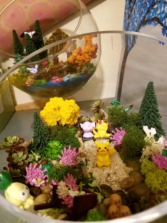 Pokemon bowl