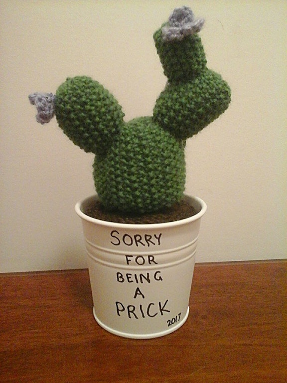 Knitted cactus